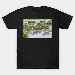 Zebra Crossing T-Shirt